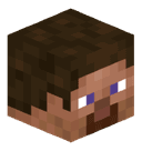 Minecraft Player Head